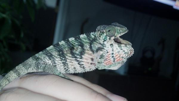 2012 09 04 16 06 29 494