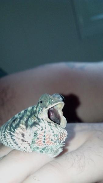 2012 09 04 16 06 39 252