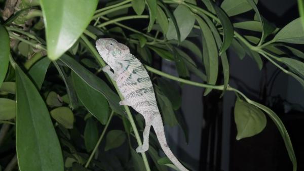 2012 09 04 16 10 12 498