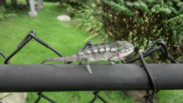 2012 09 06 11 33 36 358