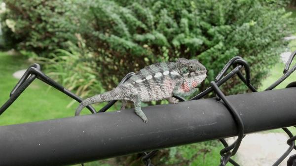 2012 09 06 11 33 44 331