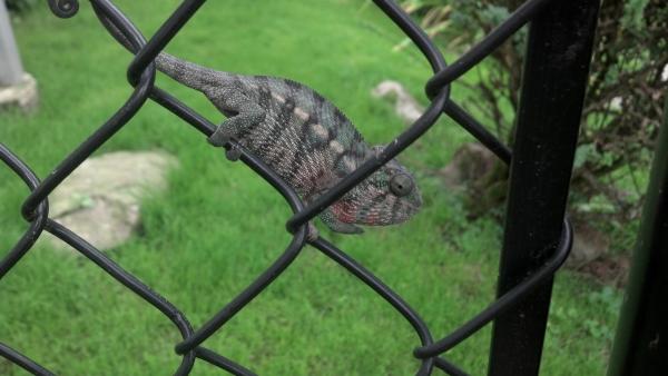 2012 09 06 11 38 04 867