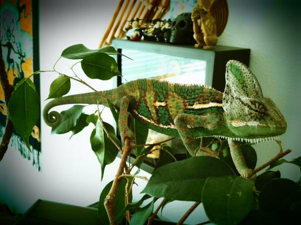 2013 02 17105556 zps35b2047e