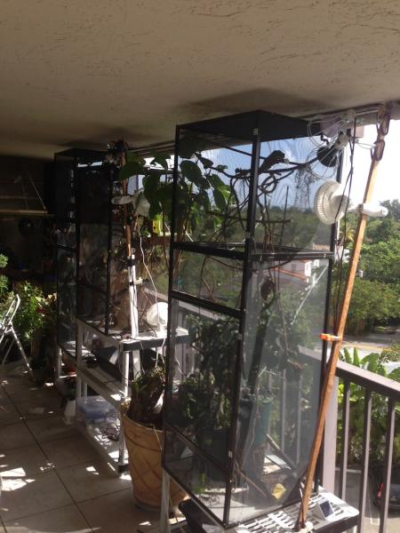 2013 11 06 10.12.45 cage pics