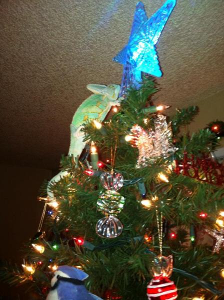 2013 Crayola in my Christmas tree