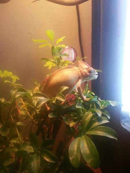 20131203 210559 resized