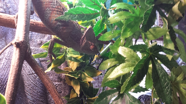 20140112 105424 EDIT