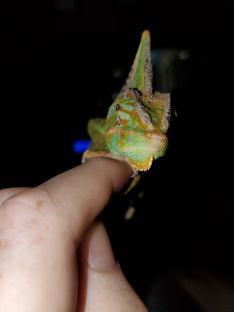 20191022_120238.jpg