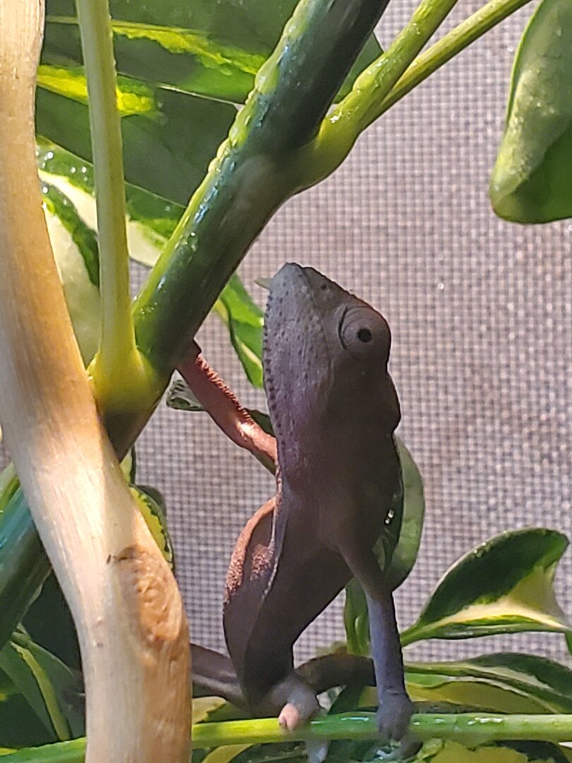 20201029_172615.jpg