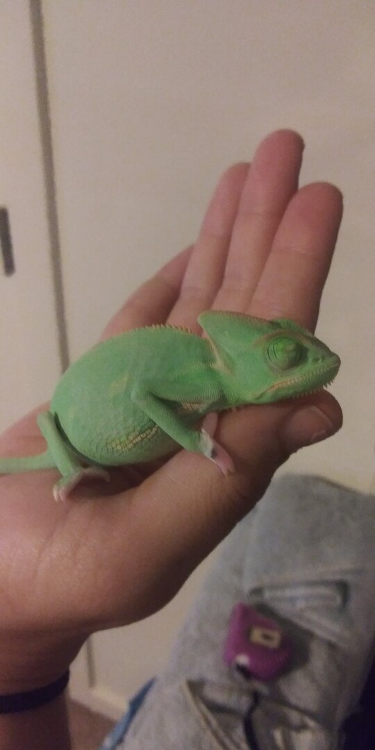 20201102_203524.jpg