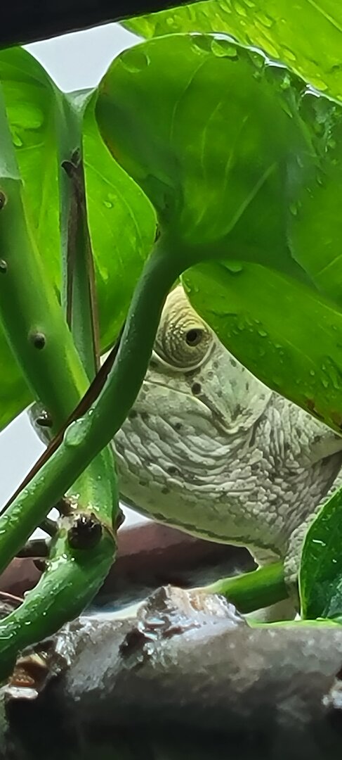 20220131_195349.jpg