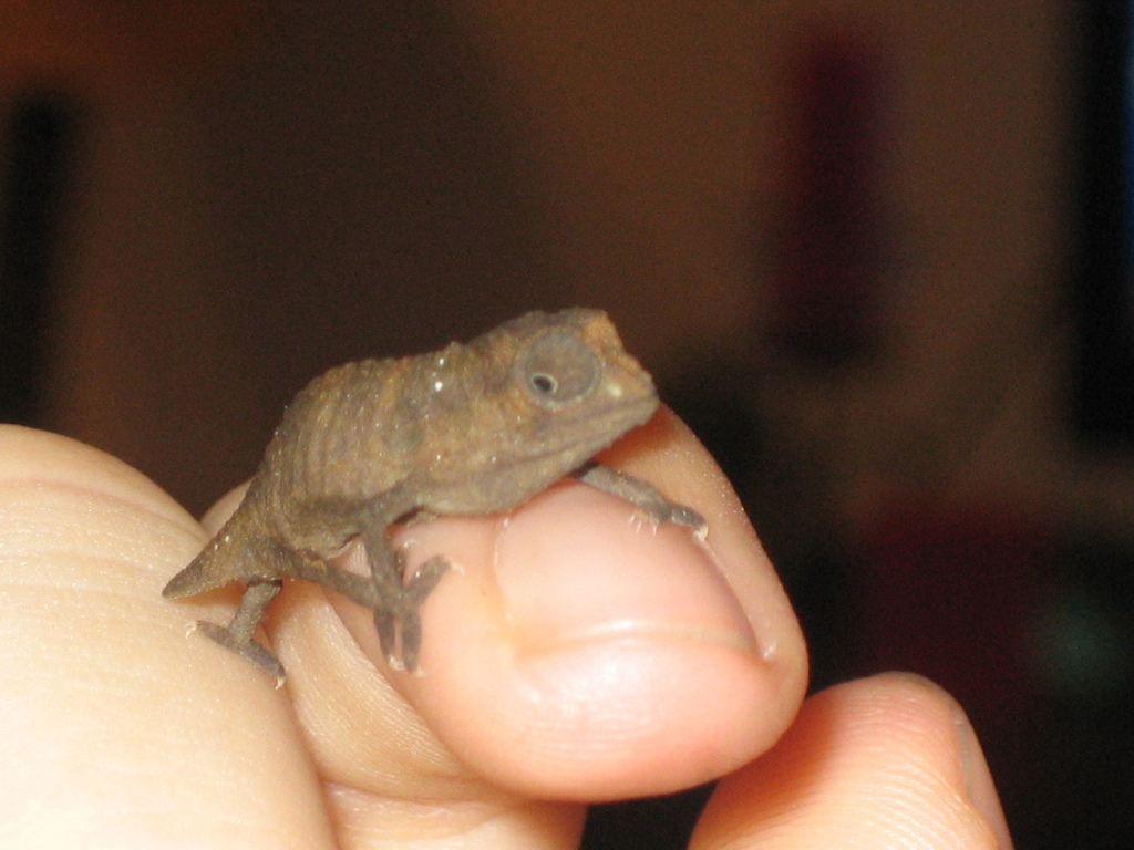 2091895467_91f67701c4_b