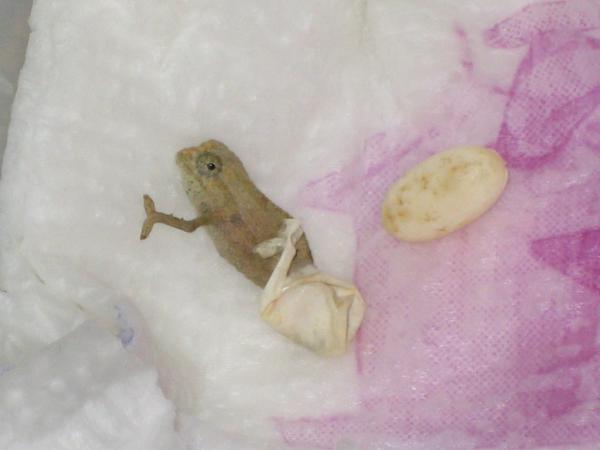 2092493526 48c2d07213 b