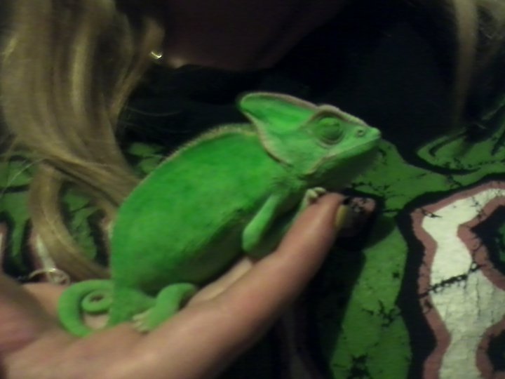 215222 2032780744319 1388175813 32412155 1535865 N