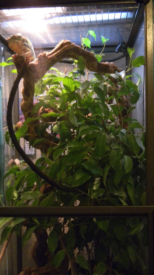 216955 4161691633824 392566375 N