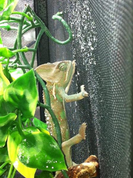 228953 4097792297887 2048443465 n
Just hanging out....