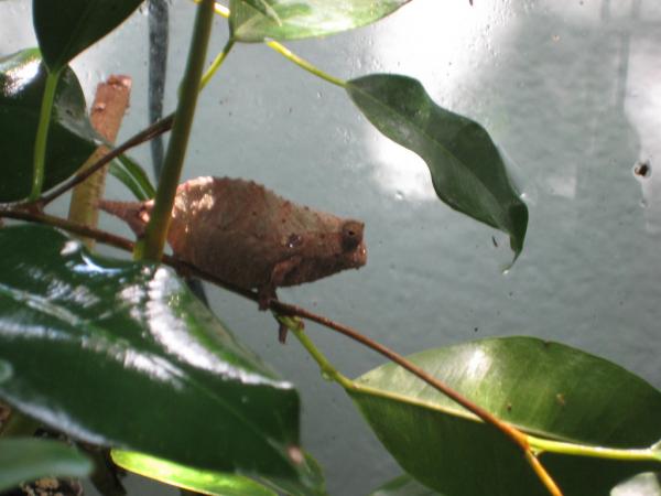 2341876216 f3d990ff04 b