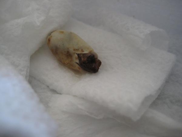 2341877946 352a8a969a b