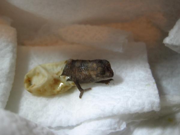 2342562264 dc044d87d0 b