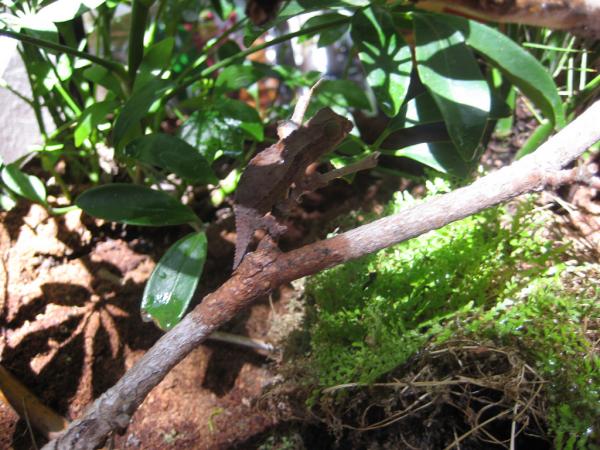 2408063255 a1f561bed0 b