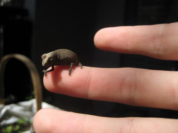 2408065027 0915c7650c b