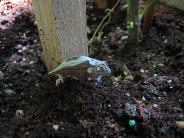 2506965950 a5744752fc b