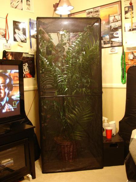 260 gal Reptarium aka: "The phone booth"