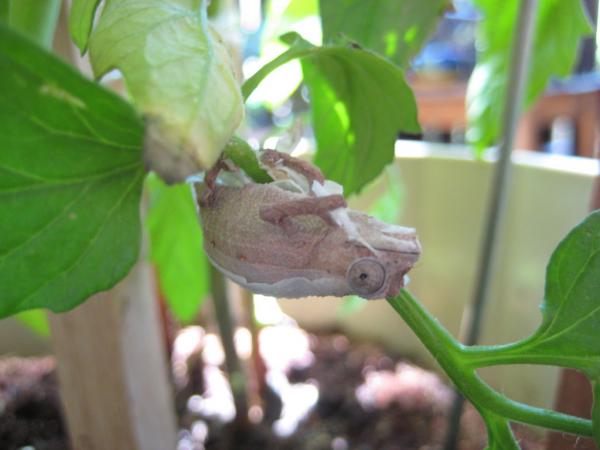 2638143322 2e723cc5f2 b