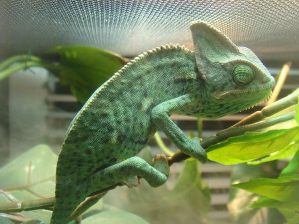 291823 2381359046727 1033203491 2769721 6194723 n