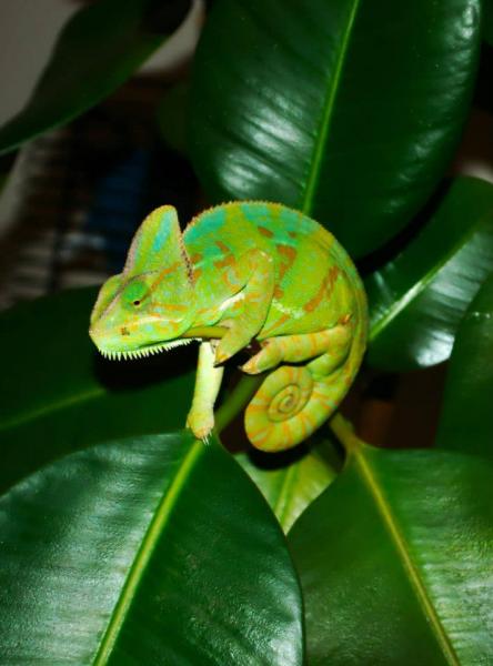 292811 10151050553412391 2130033623 n