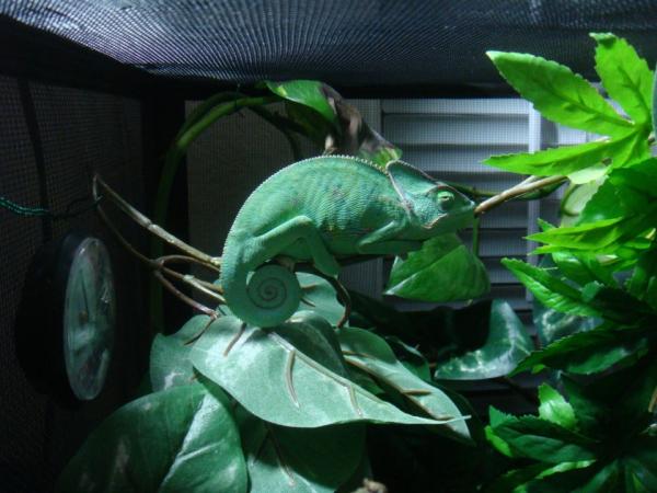 294234 2381362526814 1033203491 2769734 2039879556 n