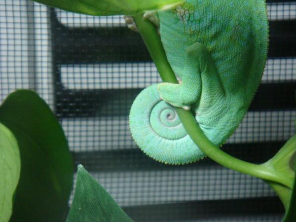 295761 2381359846747 1033203491 2769724 273423399 n