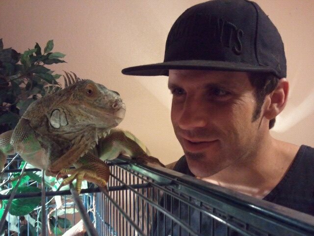 295790 300948899930656 502279558 N