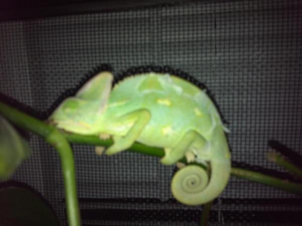 296620 2368107475446 1033203491 2757952 1003225050 n