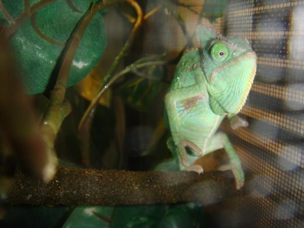 298084 2381361326784 1033203491 2769729 662069454 n