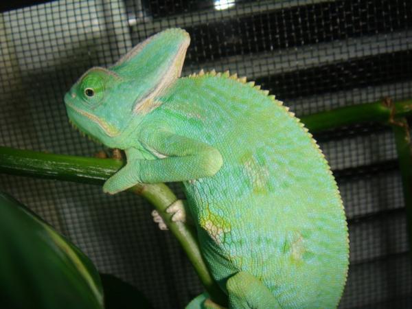 299693 2381359726744 1033203491 2769723 908043664 n