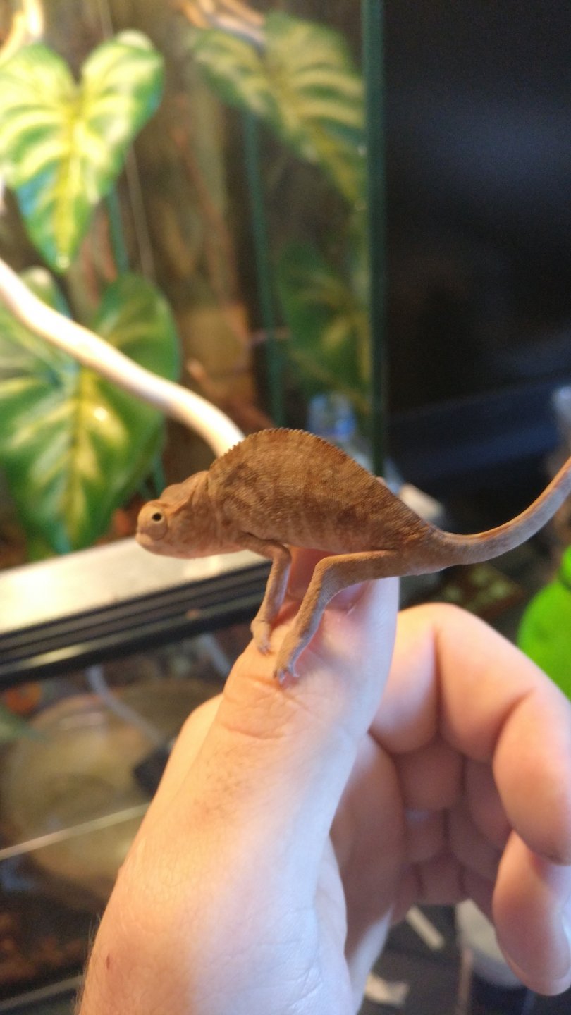 <3