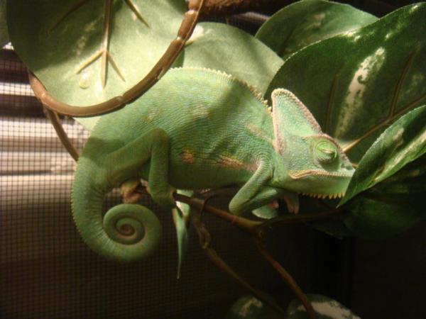 300762 2381360486763 1033203491 2769727 1347279631 n