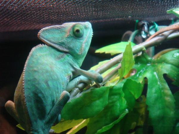 301091 2381360126754 1033203491 2769725 102931780 n