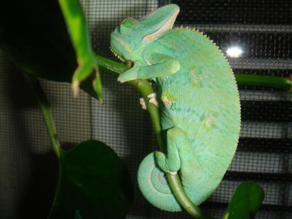 302609 2381359366735 1033203491 2769722 130806676 n