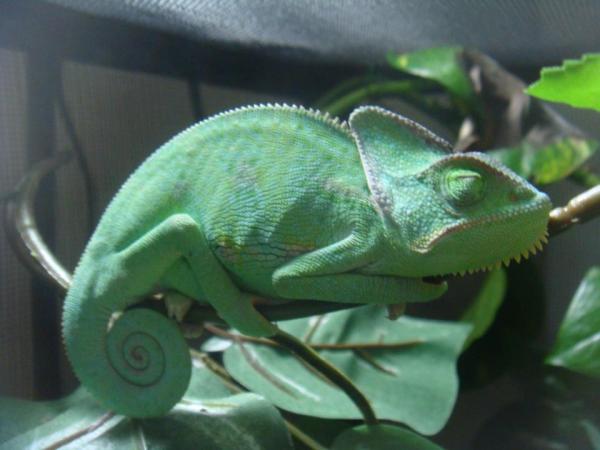 303125 2381361926799 1033203491 2769732 1306703039 n