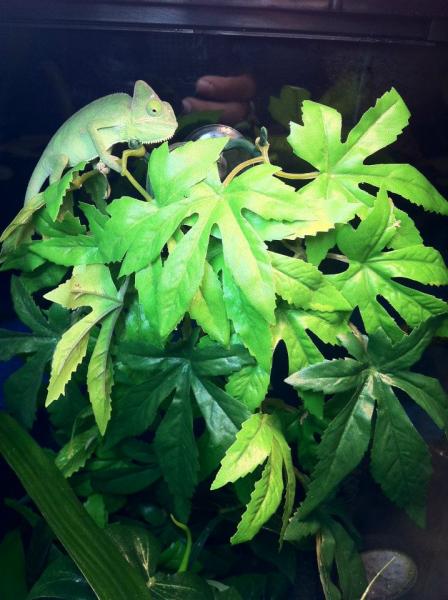 303866 2349166081923 1033203491 2742905 2047303636 n