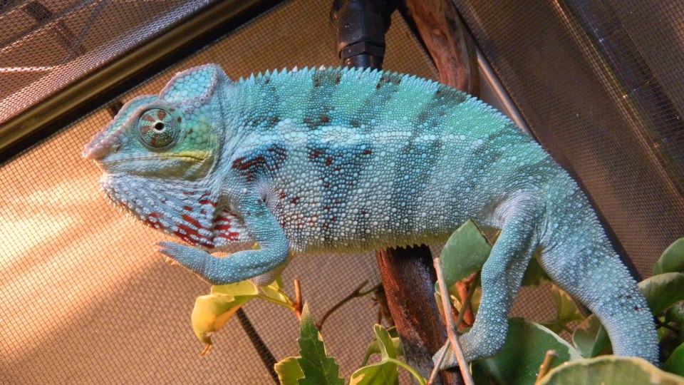 304382 4161687313716 60717134 N