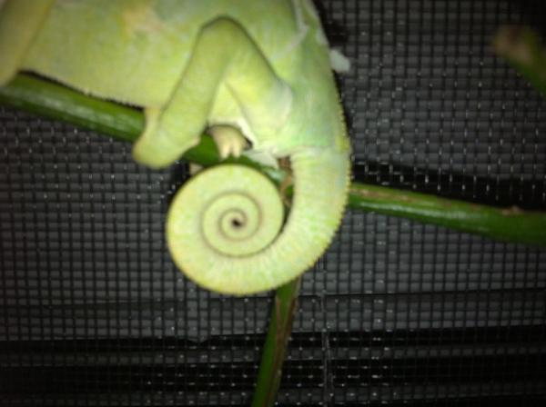 308614 2368106795429 1033203491 2757951 517302347 n