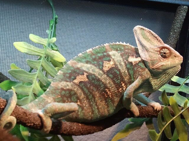 309612 278684582157088 759227754 N