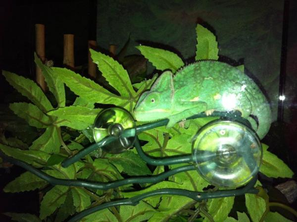 312722 2355696965191 1033203491 2747602 1727740670 n