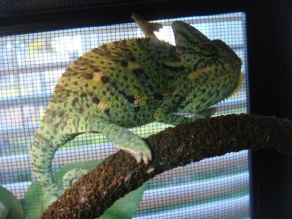 312955 2381360326759 1033203491 2769726 174752781 n