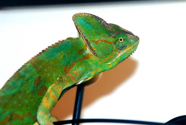 314261 10151050519352391 245608023 n