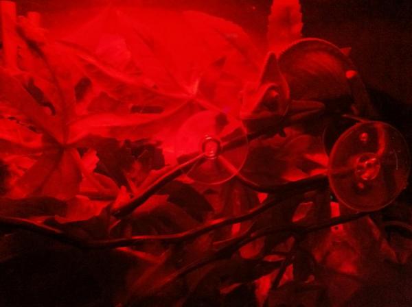 314418 2355697525205 1033203491 2747603 916640048 n