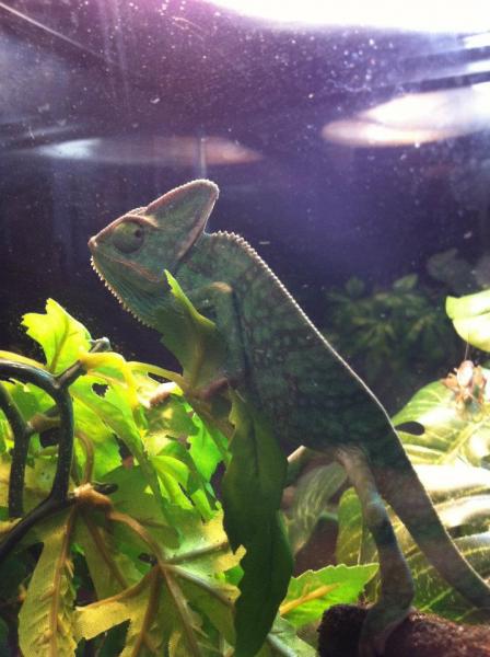 314756 2349166401931 1033203491 2742907 360715187 n